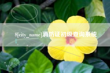 双峰消防证初级查询系统