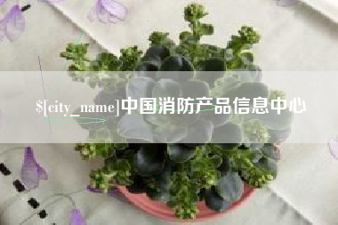 双峰中国消防产品信息中心