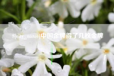 双峰中国金牌得了几枚金牌