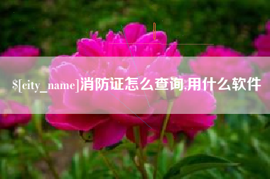双峰消防证怎么查询,用什么软件