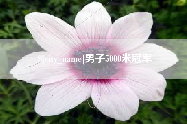 双峰男子5000米冠军