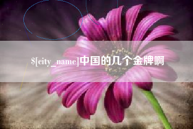 双峰中国的几个金牌啊