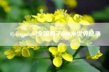 双峰全国男子5000米世界纪录
