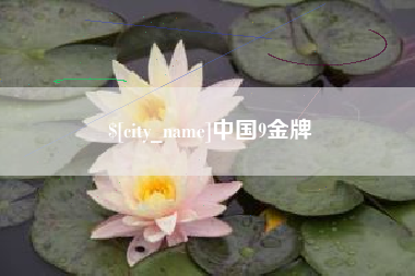 双峰中国9金牌