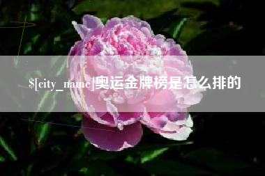 双峰奥运金牌榜是怎么排的