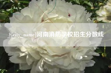 双峰河南消防学校招生分数线