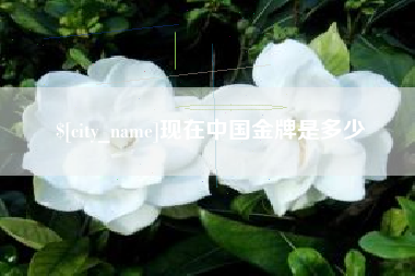 双峰现在中国金牌是多少