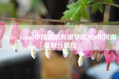双峰中国消防救援学院2020年河南录取分数线