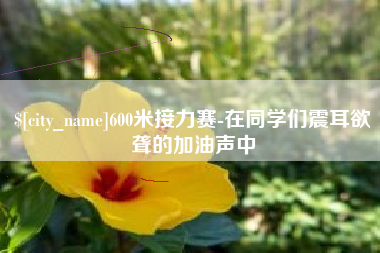 双峰600米接力赛-在同学们震耳欲聋的加油声中