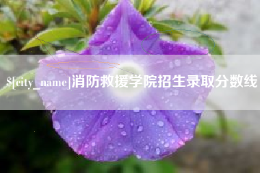 双峰消防救援学院招生录取分数线