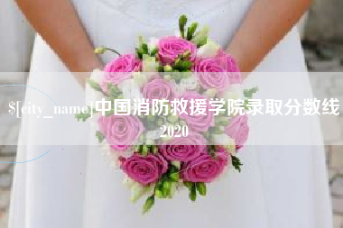 双峰中国消防救援学院录取分数线2020