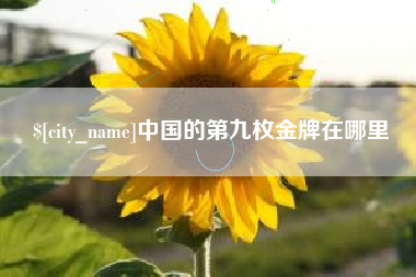 双峰中国的第九枚金牌在哪里