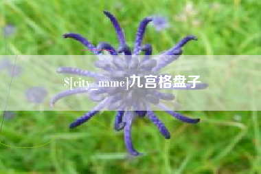 双峰九宫格盘子