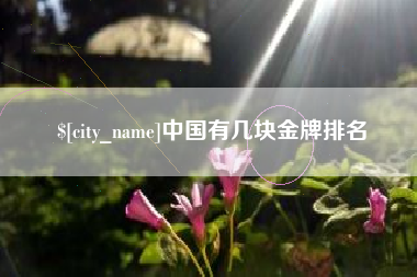 双峰中国有几块金牌排名