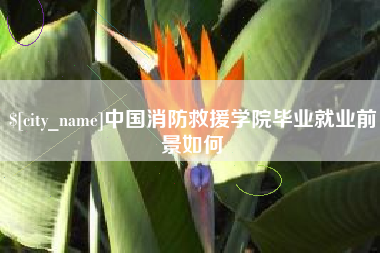 双峰中国消防救援学院毕业就业前景如何