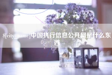 双峰中国执行信息公开网是什么东西