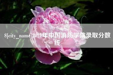 双峰2021年中国消防学院录取分数线