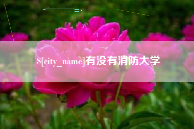 双峰有没有消防大学