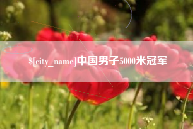 双峰中国男子5000米冠军