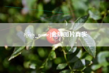双峰金牌图片真实
