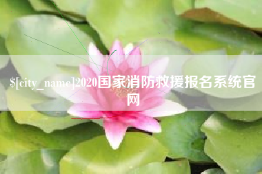 双峰2020国家消防救援报名系统官网