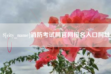 双峰消防考试网官网报名入口网址