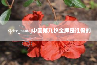 双峰中国第九枚金牌是谁得的