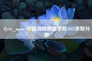 双峰中国消防救援学院2021录取分数