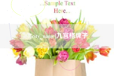 双峰九宫格牌子