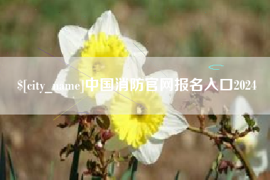 双峰中国消防官网报名入口2024