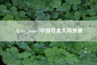 双峰中国夺金大项是谁