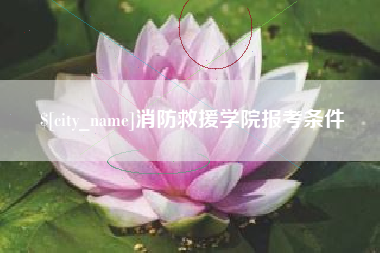 双峰消防救援学院报考条件