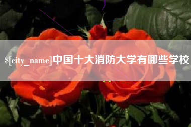 双峰中国十大消防大学有哪些学校