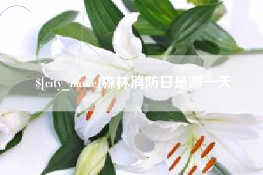 双峰森林消防日是哪一天
