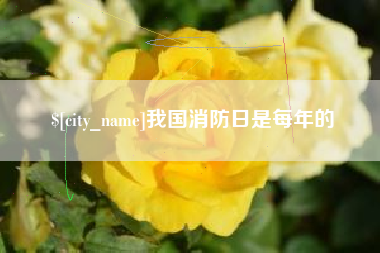 双峰我国消防日是每年的