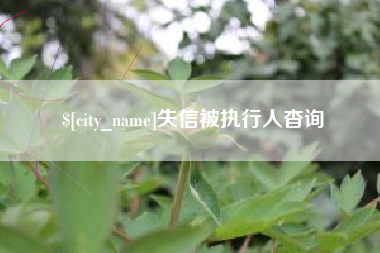 双峰失信被执行人杳询