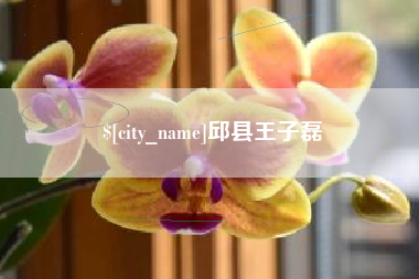 双峰邱县王子磊