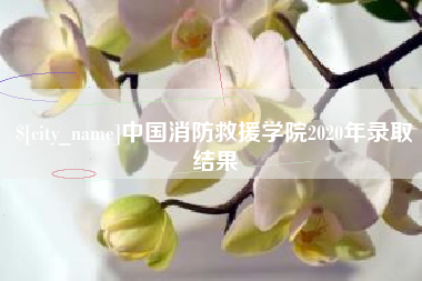 双峰中国消防救援学院2020年录取结果