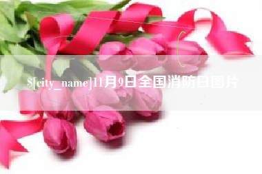双峰11月9日全国消防日图片