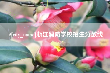双峰浙江消防学校招生分数线