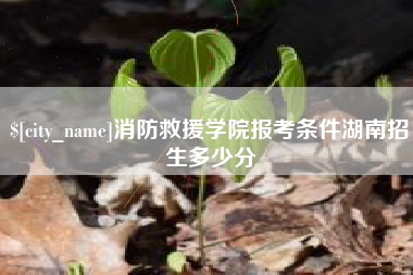 双峰消防救援学院报考条件湖南招生多少分