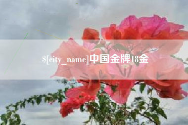 双峰中国金牌18金