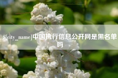 双峰中国执行信息公开网是黑名单吗