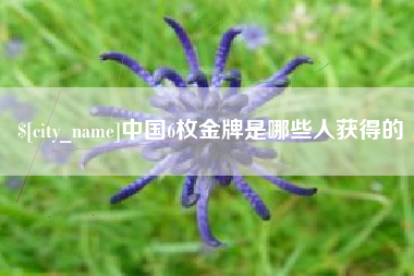 双峰中国6枚金牌是哪些人获得的