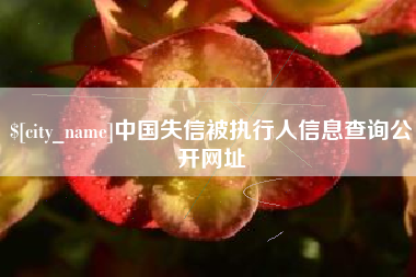 双峰中国失信被执行人信息查询公开网址