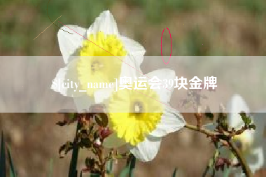 双峰奥运会39块金牌