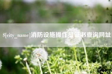 双峰消防设施操作员证书查询网址