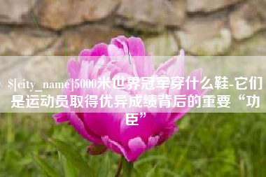 双峰5000米世界冠军穿什么鞋-它们是运动员取得优异成绩背后的重要“功臣”