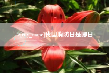 双峰我国消防日是哪日