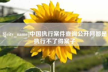 双峰中国执行案件查询公开网都是执行不了得案子